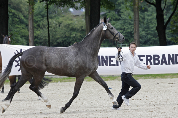 Sinope © Lune Jancke